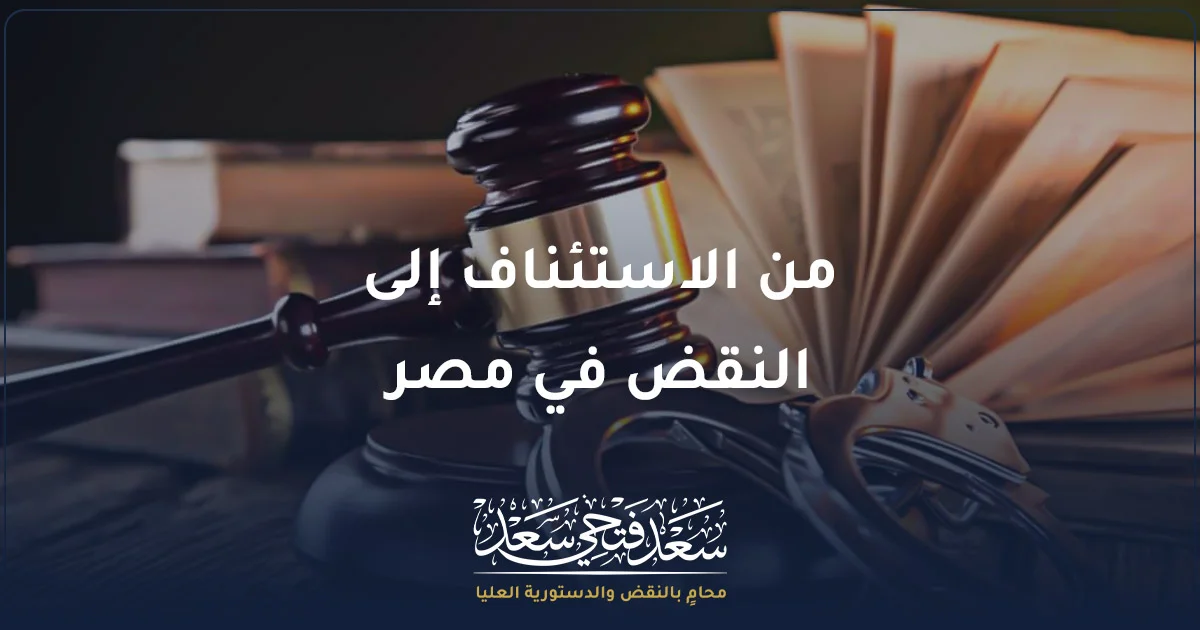 محامٍ يراجع حكمًا استئنافيًا وملف قضية لبحث مرحلة من الاستئناف إلى النقض في مصر